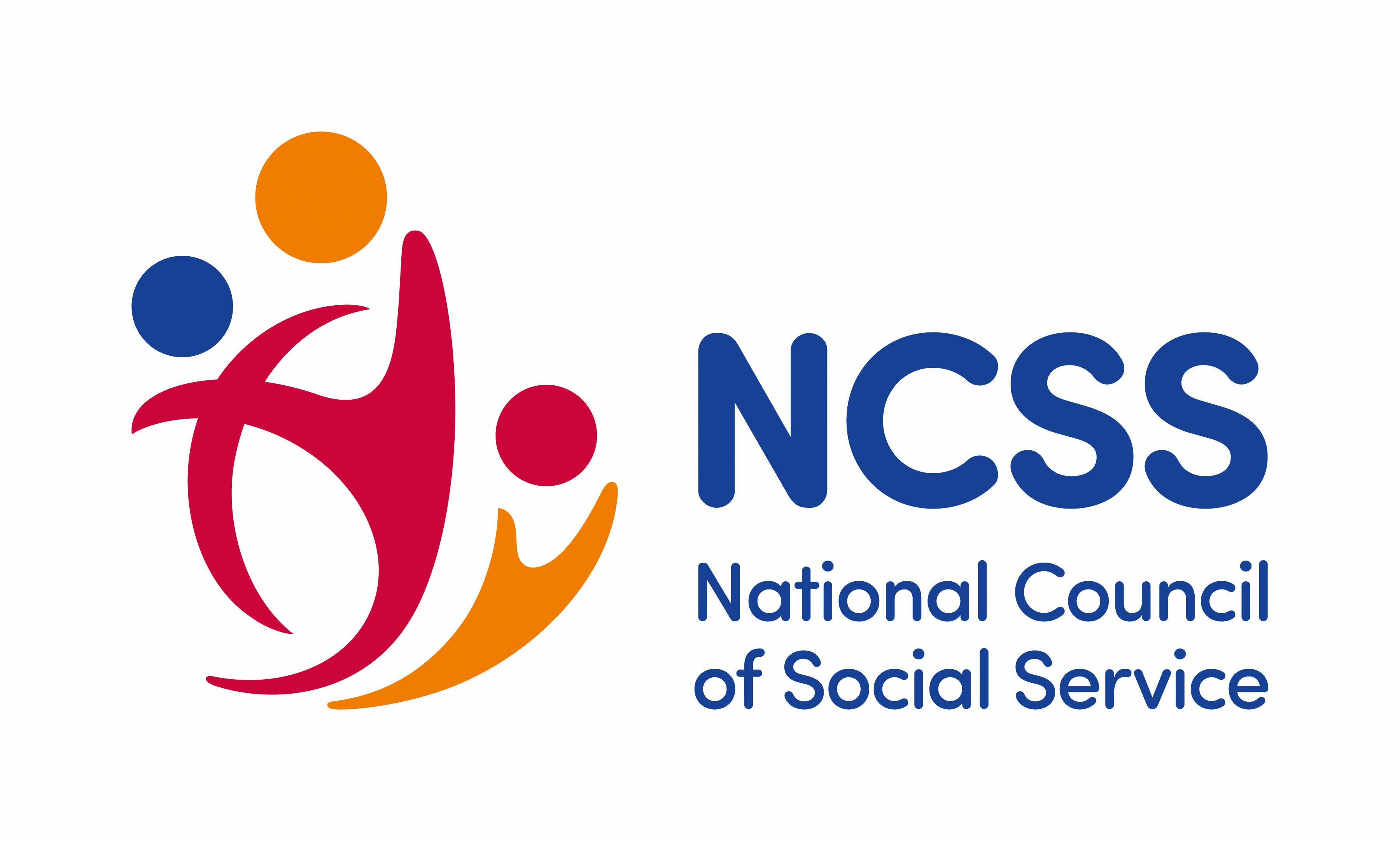 NCSS_Logo_Preferred_Version_RGB-final image NCSS Logo Preferred Version RGB final