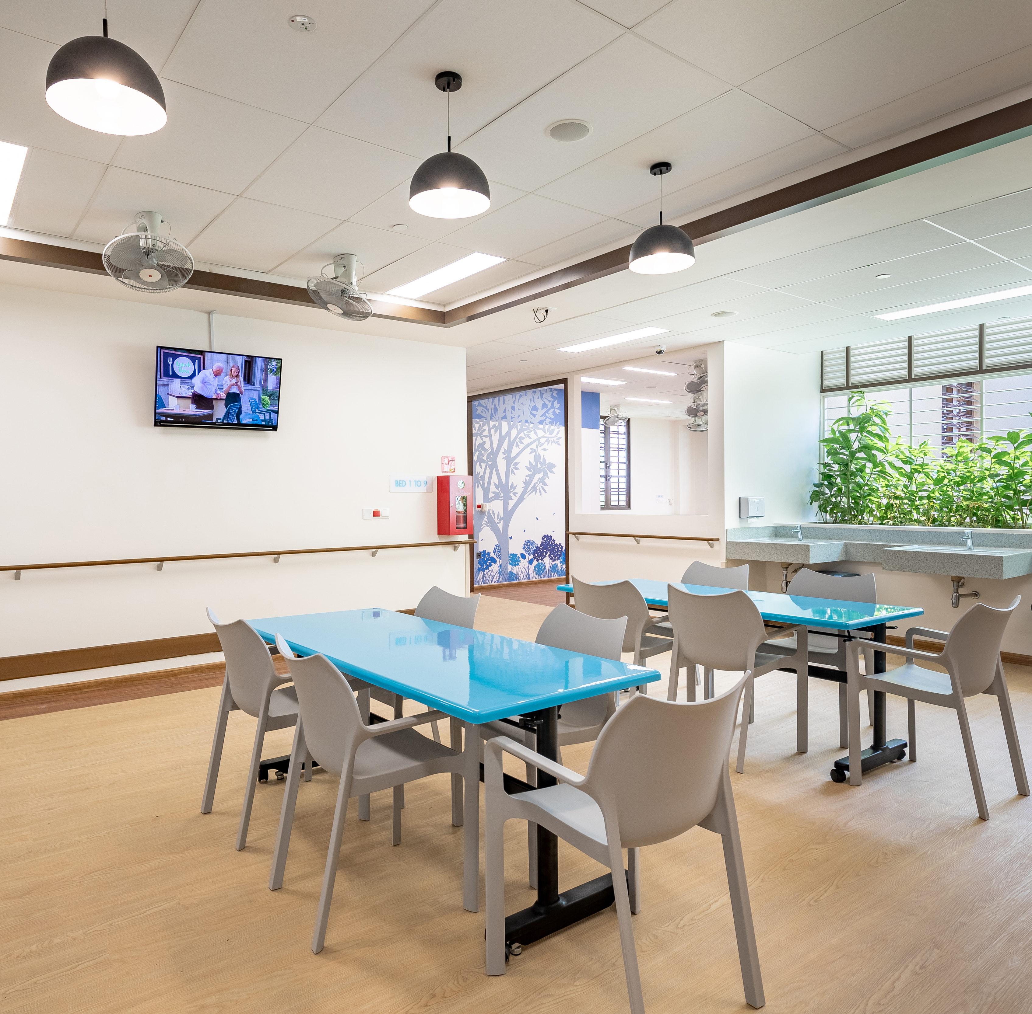 NursingHome2 image Activities 3 Lorem Ipsum Sit Amet